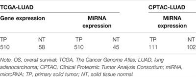 A Novel Risk-Score Model With Eight MiRNA Signatures for Overall Survival of Patients With Lung Adenocarcinoma